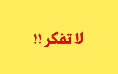 IMG_20241123_135042_777