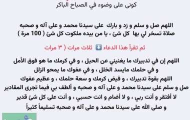 IMG_20241222_175420_596