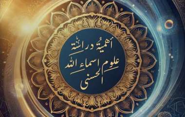 IMG_20250201_213329_442