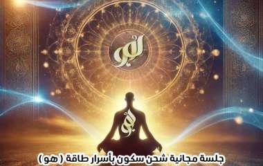 IMG_20250203_132750_726