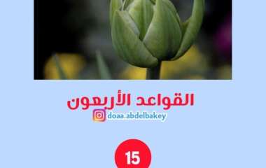 IMG_٢٠٢٣٠٢١٦_٢١٣٨٤٧