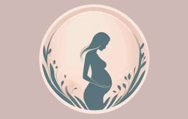 Nova٢٠٢٤١٢٢٨١٧٠٠٥٣